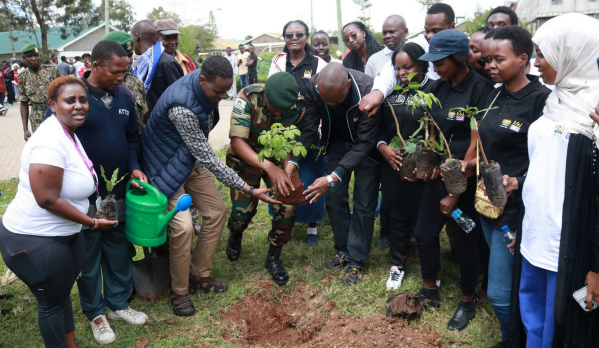 Roots of Change: NGEC Cultivates Equality in Kenya’s Journey to 15 Billion Trees